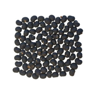 Vers geplukte Trachycarpus fortunei zaden