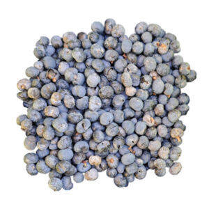 Onbewerkte Trachycarpus zaden met vruchtvlees